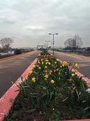 Wikipedia - Grangetown railway station