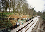 Wikipedia - Hornbeam Park railway station